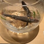 橦木町 しみず - 