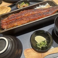 うなぎ四代目菊川 ヒルトンプラザウエスト大阪店 -  うなぎ四代目菊川 ヒルトンプラザウエスト大阪店 -