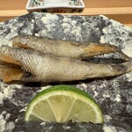 鮨ひじり - 【 めひかり 】