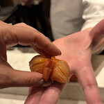 2nd EDITION TERUZUSHI - 