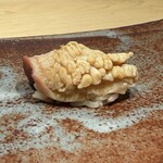 鮨ひじり - 【 北寄貝 】