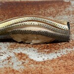 鮨ひじり - 【 こはだ 】