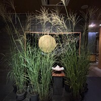 よし邑 - 
