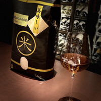 スガラボヴィー - 