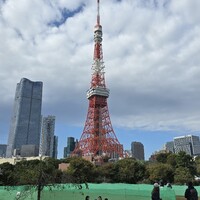 日本料理 芝桜 - 