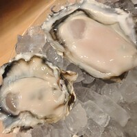 四ツ橋・新町 牡蠣と肉たらしビストロAKIRA - 