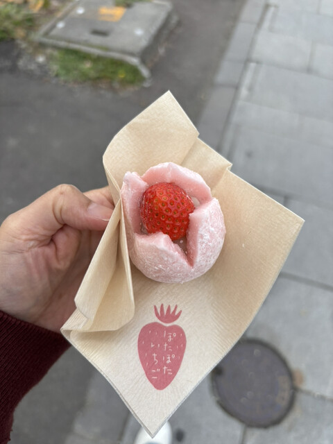 いちご大福専門店 ぽたぽたいちご 小樽堺町通り店 - 南小樽（大福）の写真