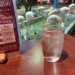 メヒコ つくばフラミンゴ館 - わくわくフラミンゴタイム。いっぱい居る