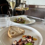 トラットリア メータ - 