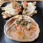 宝町サケスクエア - キャノピーオープン