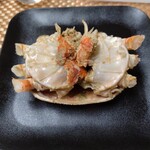 宝町サケスクエア - ラプター