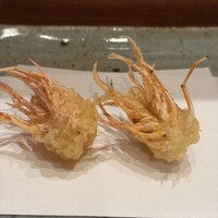 天冨良 よこ田 - 