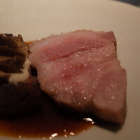 セルサルサーレ - 