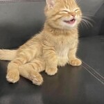 宝町サケスクエア - 呑んでる時☆