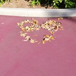 ホライズンベイ・レストラン - 