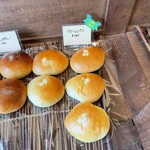 ベーカリーブランシュ - この美味しいクリームパン　人気NO2