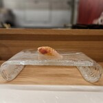 鮨処 暁 -akatsuki- - □しまあじ握り　徳島