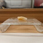 鮨処 暁 -akatsuki- - □あおりいか握り　函館