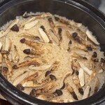 月夜に米の飯 武井 - 