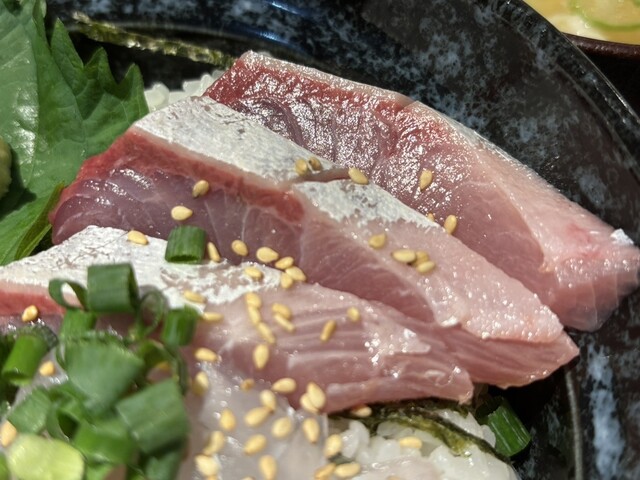 魚魚さま メニュー写真 : 海鮮処 魚さま 光ヶ丘店 - 光が丘/居酒屋 | 食べログ