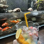 きんぎょcafe 柳楽屋・陽だまり - 