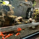 きんぎょcafe 柳楽屋・陽だまり - 