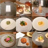 Wattle Tokyo -  Wattle Tokyo -