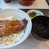 鰻 若松 -  鰻 若松 -