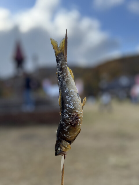 札幌国際スキー場 - 札幌市南区その他（その他）の写真