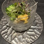 SHINRA YORO VALLEY - 