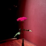 バー ビー アンド ビー - 