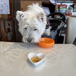 ドッグカフェ＆レストラン ブルスケッタ - 