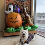 ドッグカフェ＆レストラン ブルスケッタ - 