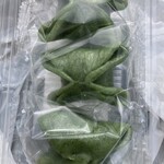 오오쿠보 토시미치 쇼오텐 - 