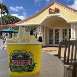 Dole Plantation - 