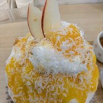 天然氷のかき氷 ひめじ官兵衛堂 - 