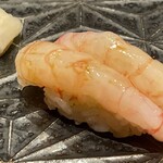 江戸前 鮨 服部 - 富山の甘エビ
