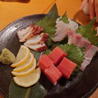 UMAMI日本酒弐番館 - 本マグロ入りお刺身４点盛り（本マグロ、タコ、カンパチ、ヒラメ）