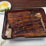 炭焼うなぎ 加茂 - 