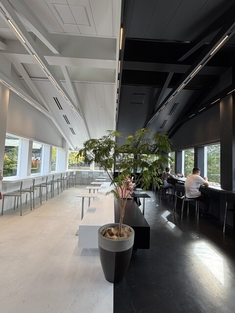 M Stand Coffee photo 5