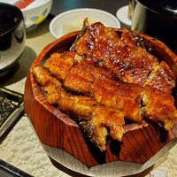 炭焼きうなぎ・かしわ 登河 - 