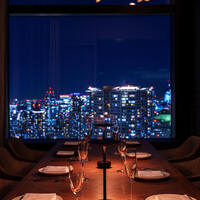 THE PENTHOUSE with weekend terrace - 