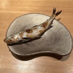 恵比寿 鮨 ふじまさ - 