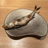 恵比寿 鮨 ふじまさ - 