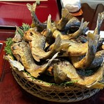 うかい鳥山 - 迫力ある鮎盛り、11人分。鮎祭りだ！