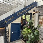 Curry&herb Cherry blossom - 