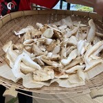 松茸屋 魚松 - 