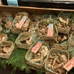松茸屋 魚松 - 