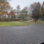 ドレモルタオ - 