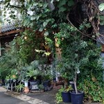 CLAMP COFFEE SARASA - 